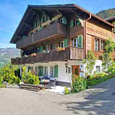 Chalet Auf Dem Vogelstein Hotel Exterior