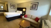 Riviera Inn & Suites 1000 Islands - bar