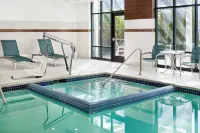 Hampton Inn & Suites Detroit/Troy - Hot Tub