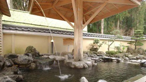 Narita Onsen - con terme