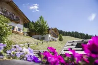 Taser Alm - vue sur la montagne