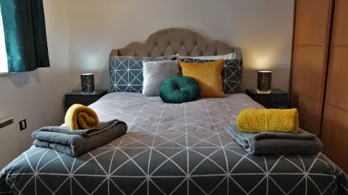 Albion Street Apartments - Apartments