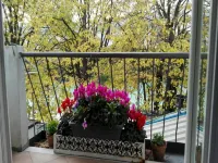Villa Fiorita - Pet-friendly