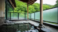 Osawa Onsen Sansuikaku - balneario