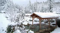 Choseikan - Hot Springs