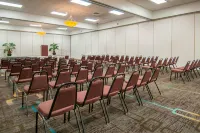 Four Points by Sheraton Alexandria - Pet Friendly