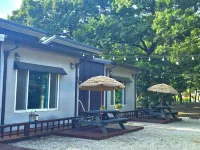 Goesan Forest Harmony Pension - 游泳池