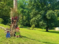 Beautiful Mountain View’s and Located on several acres for privacy - 3-Star