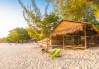 กรีนวิว บีช รีสอร์ท - สัตว์เลี้ยง