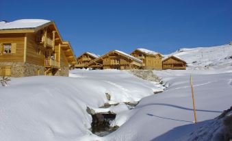 Luxury Chalet with Fireplace in the Area of Alpe d'Huez