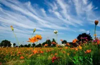 Tiantai Libao Farm stay