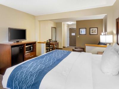 Comfort Inn Rockford Near Casino District