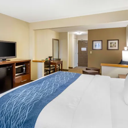 Comfort Inn Rockford Near Casino District