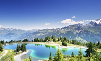 Chalet Bouquetin- Lynx for up to 6 People