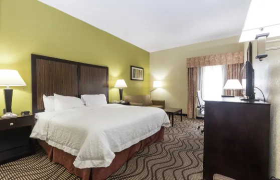 希爾頓歡朋酒店-克爾維爾