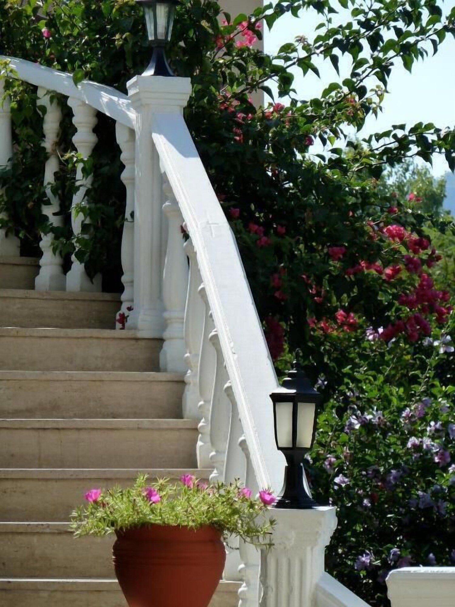 Garden Resort Bergamot Hotel – All Inclusive