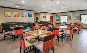 Comfort Inn & Suites St Louis-O'Fallon