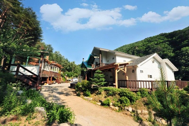 정선 자연속으로펜션