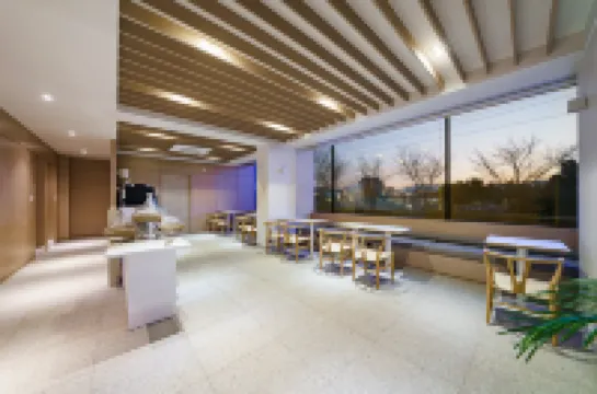 Daegu Dongchon Amusement Park Hound