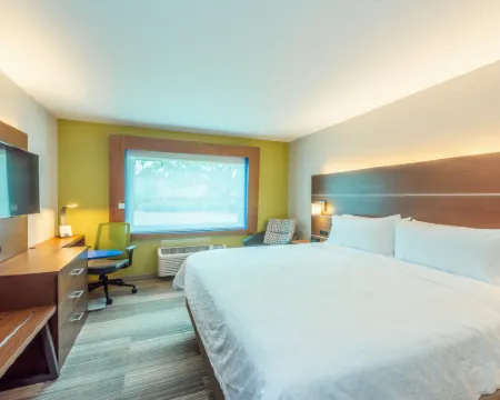 ホリデイ イン エクスプレス & スイーツ ブレイデントン ウエスト by IHG ブレーデントンのホテル