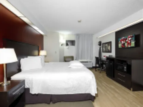 Red Roof Plus+ Palm Coast Hotels in Flagler County
