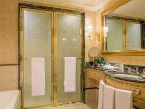 파크 타워 어 럭셔리 컬렉션 호텔 부에노스아이레스