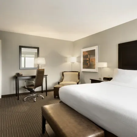 Holiday Inn & Suites DULUTH-DOWNTOWN by IHG