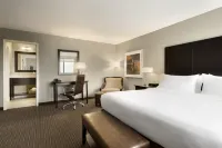 Holiday Inn & Suites DULUTH-DOWNTOWN by IHG