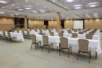Crowne Plaza LOMBARD DOWNERS GROVE by IHG - Pet friendly