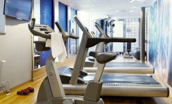 a well - equipped gym with various exercise equipment , including treadmills and weight machines , set up in a spacious room at Scandic Linköping City