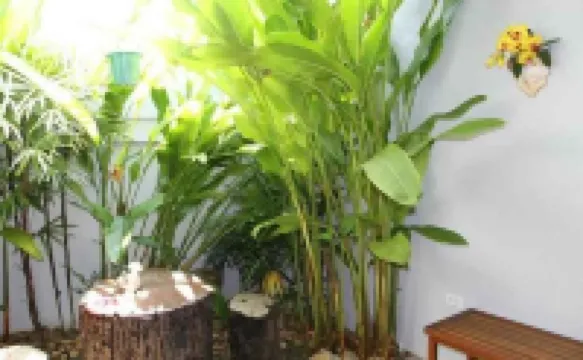 โอโซน รีสอร์ท ปราณบุรี โรงแรมในอำเภอ ปราณบุรี