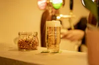 Signature Hotel Skarv Hotels in Kollmar