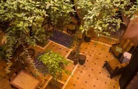 Riad Sidi Omar Hotels in 