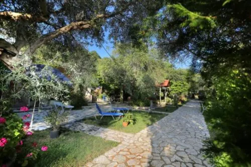 Rozalia Studios - Pet friendly