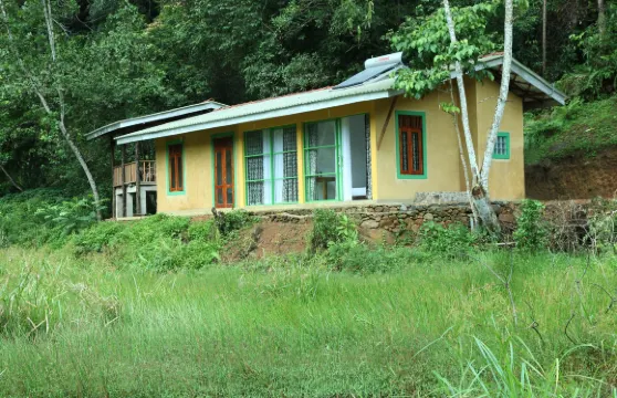 辛哈拉加森林邊緣旅館