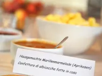 Landhotel Anna Hotels in Silandro