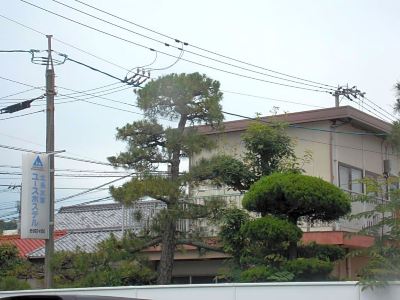 ホテル周辺 北条水軍ユースホステルの写真