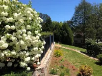 Heidi Motel - Helen - Pet friendly