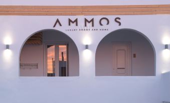 Ammos Luxury Rooms & Home