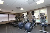 Hampton Inn & Suites by Hilton St. John's Airport - palestra