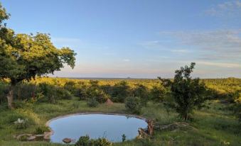 Tingala Lodge - Bed in the Bush