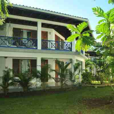 Negril Treehouse Resort Hotel Exterior