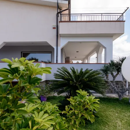 B&B Belvedere