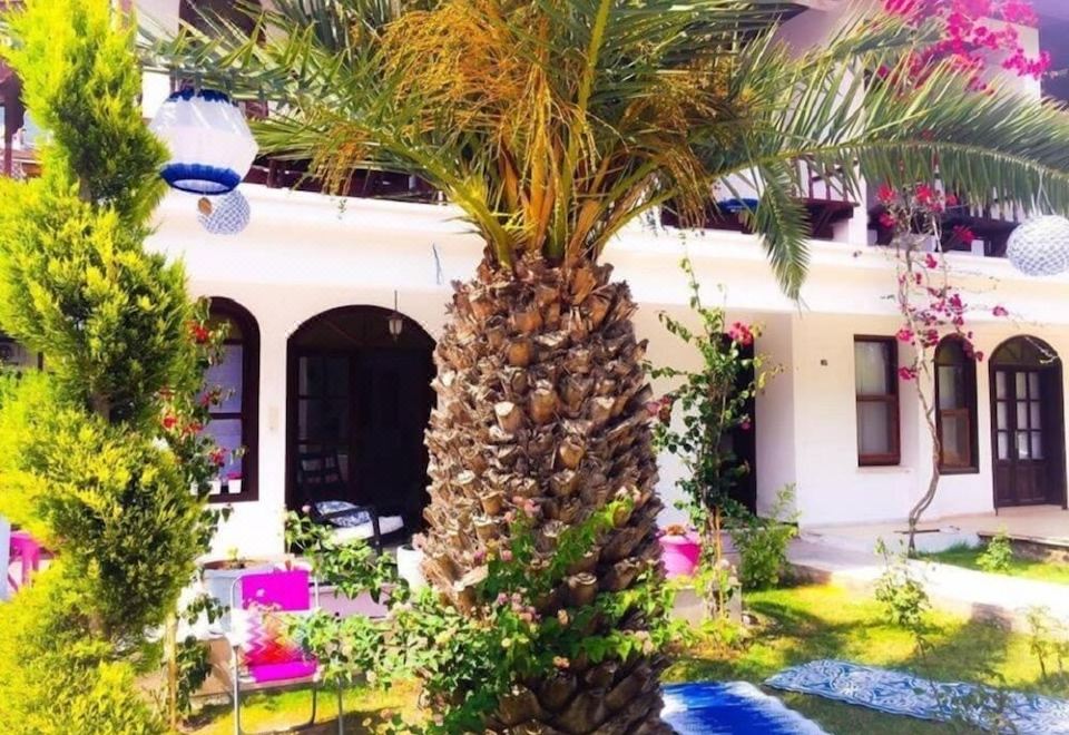 Kiraz Cicegi Butik Akyaka - Housity