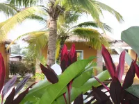 The Park Drive-Thru Check-in Resort Hotels in Rangsit