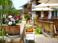 Spa Pension Basso