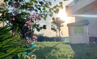 a house with a pink flower in front of it , surrounded by green grass and trees at Il Tramonto