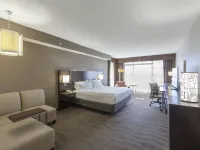 Holiday Inn 奧斯汀城 邦內爾山附近的飯店