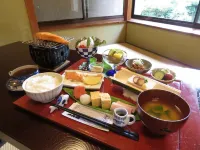 Hotel Ichinokan Hotel a Sano