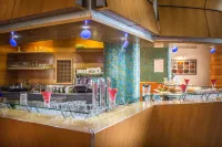 Park Hotel - bar